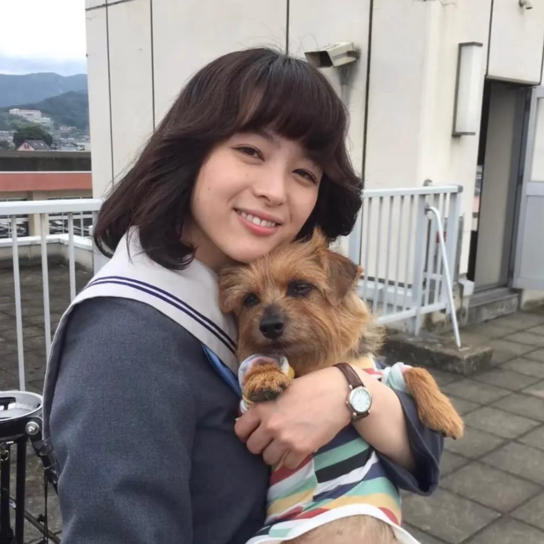 加菲猫·