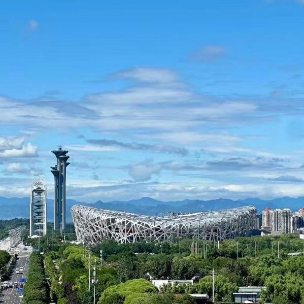 鸟巢.海鲜盛宴、