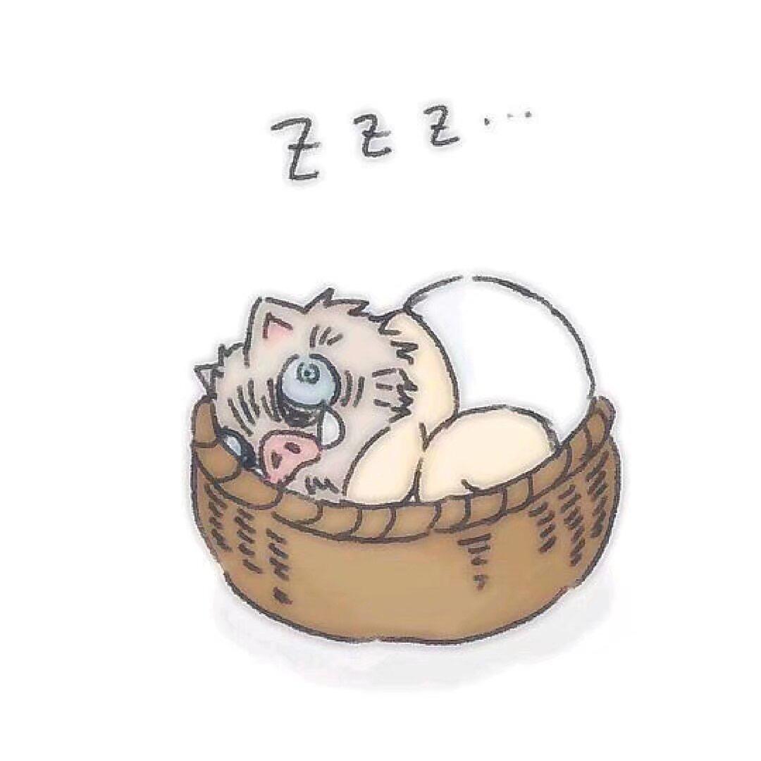 呆呆