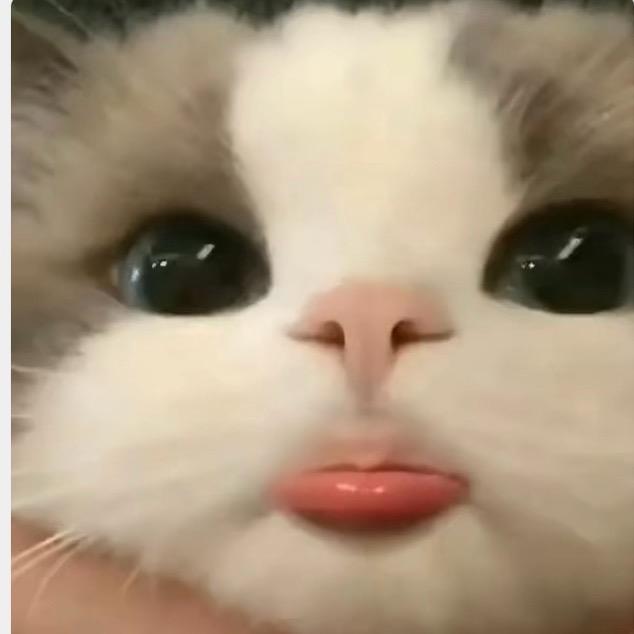 秋子
