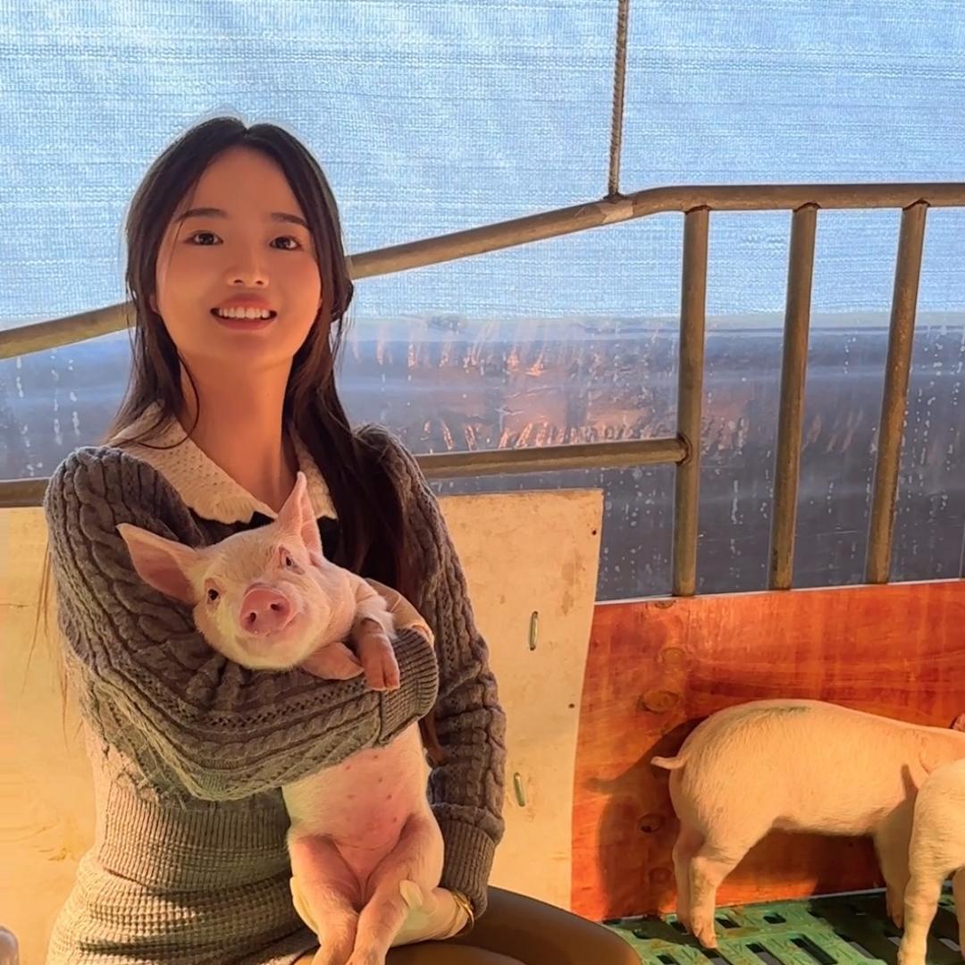 小骆在养猪