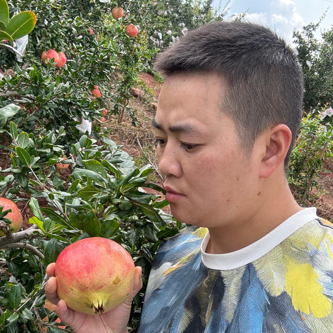 代发柑橘刘小果商贸店