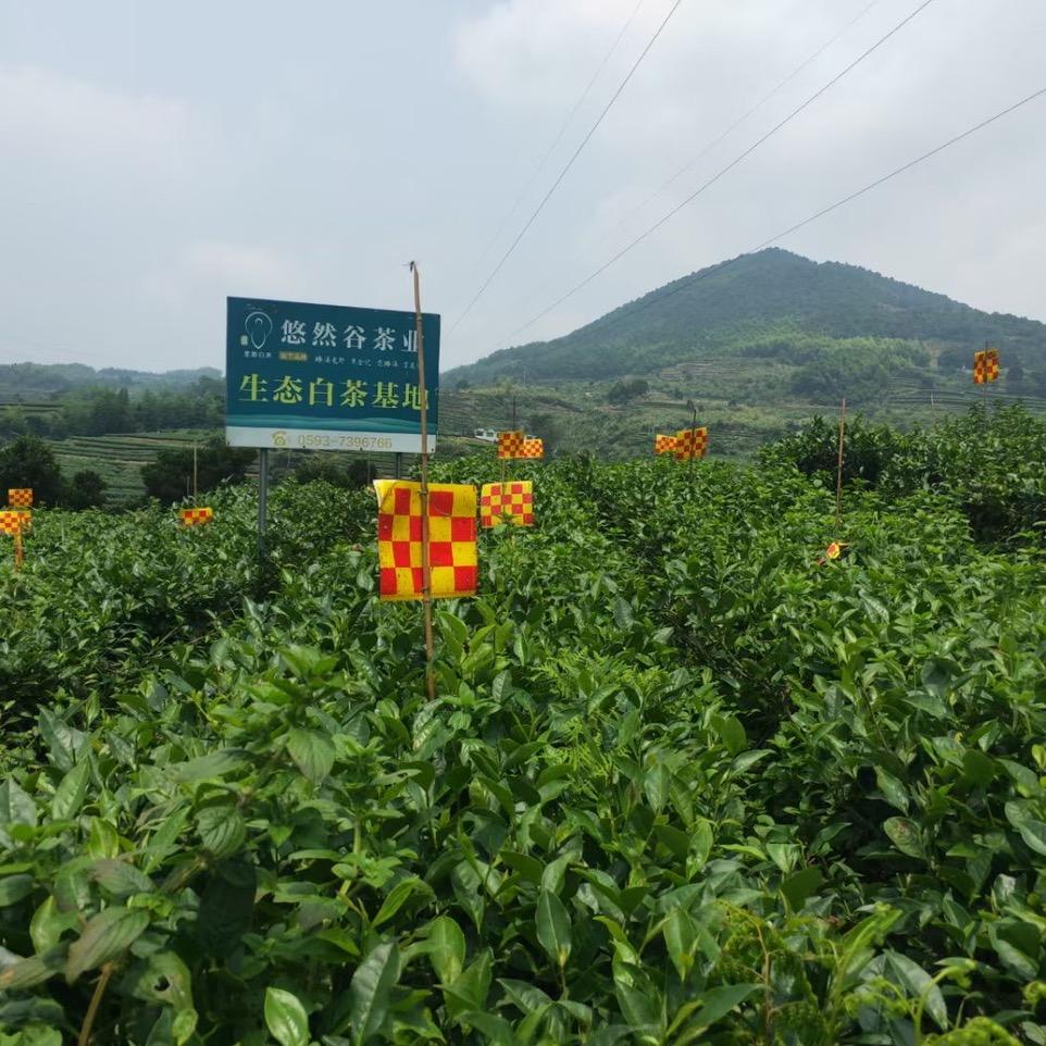 笙韵茶业知书茶礼