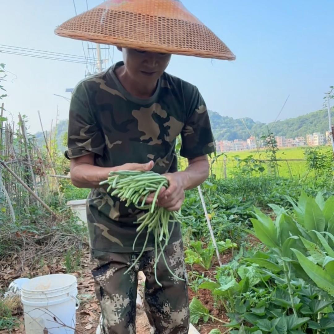 湖南狼哥