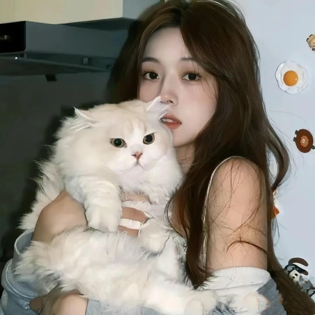 糟冷小美