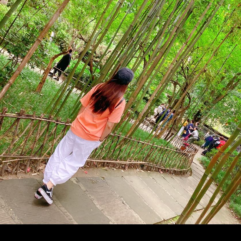 热心王友🤡