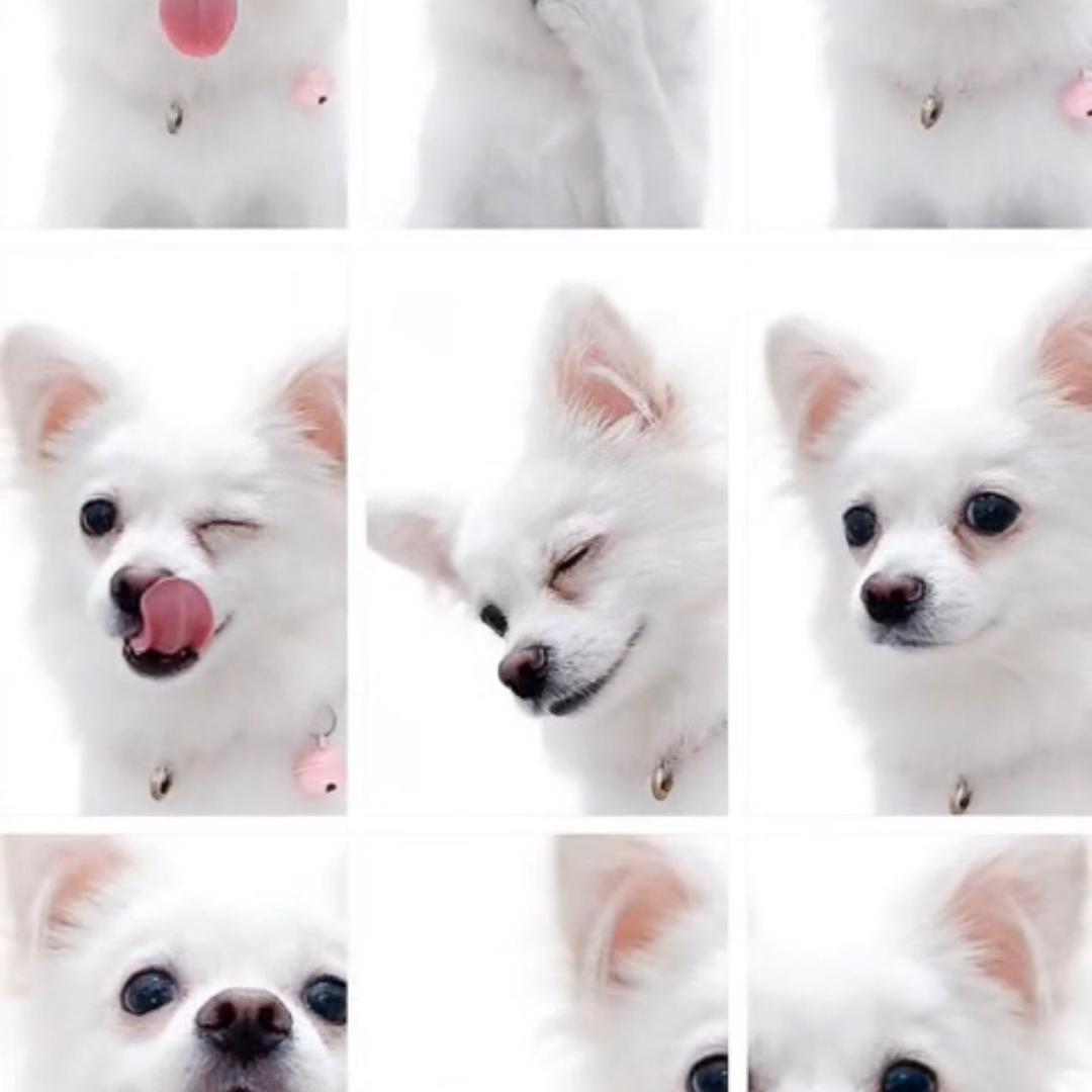 水水💦