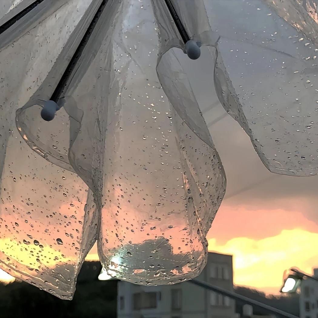 诗雅小众服装商贸行