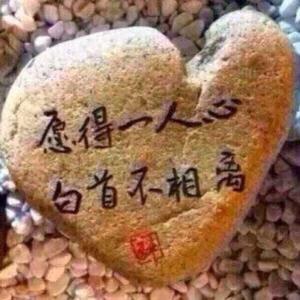 骑狼看日出