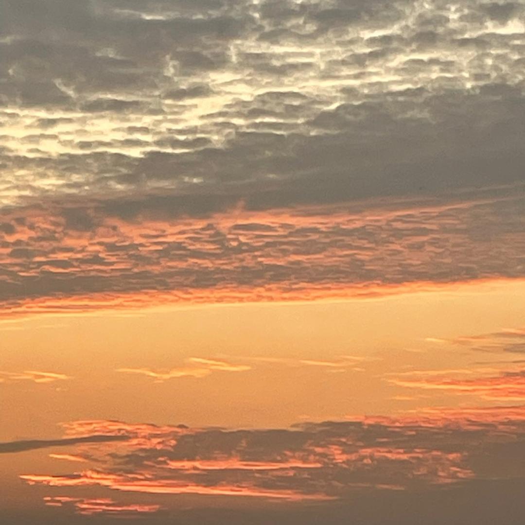 我是货车🚚司机