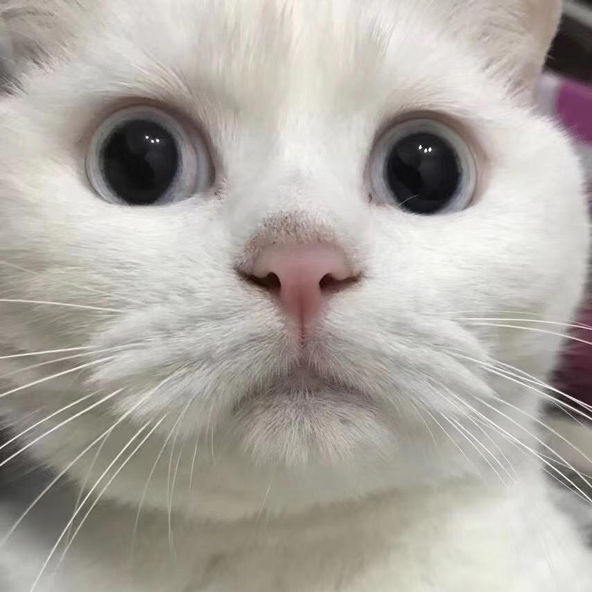 JM
