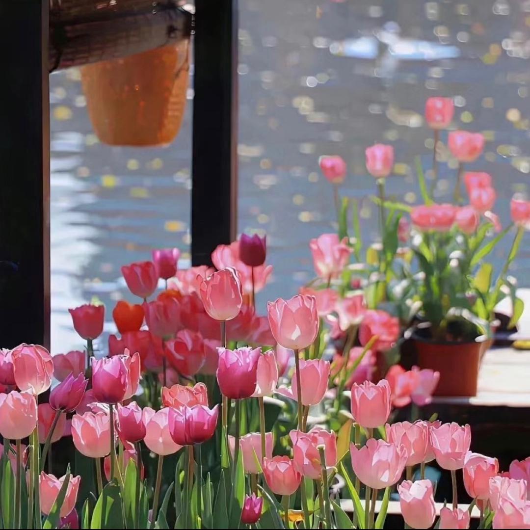 @小周阿梦💐