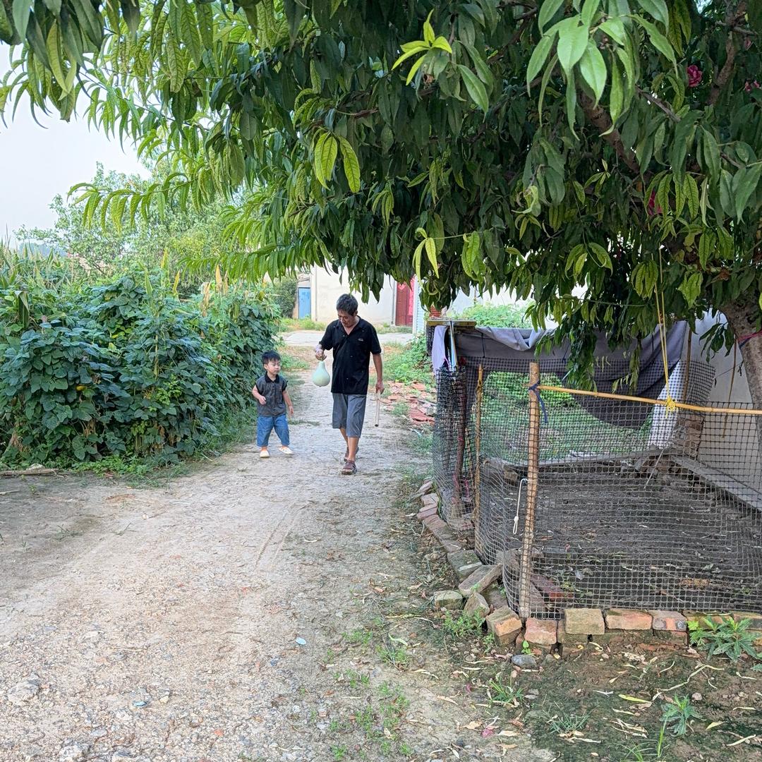 姥姥家的慢时光