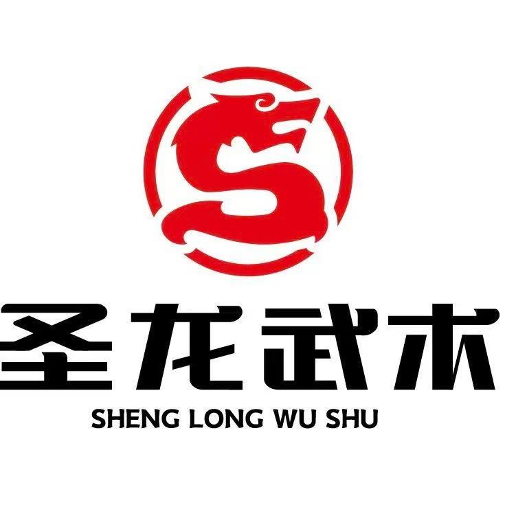圣龙武术王老师