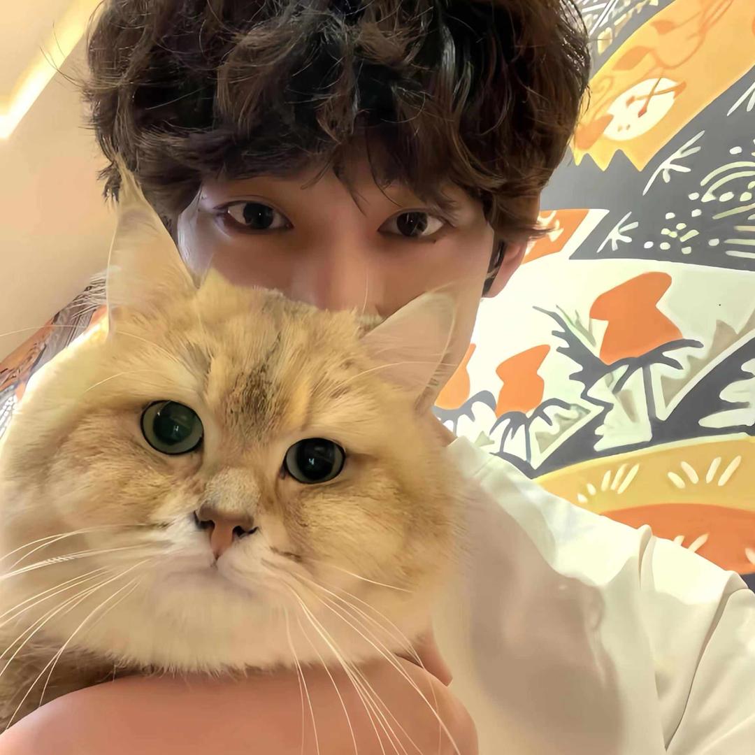 番茄你个西红柿🍅