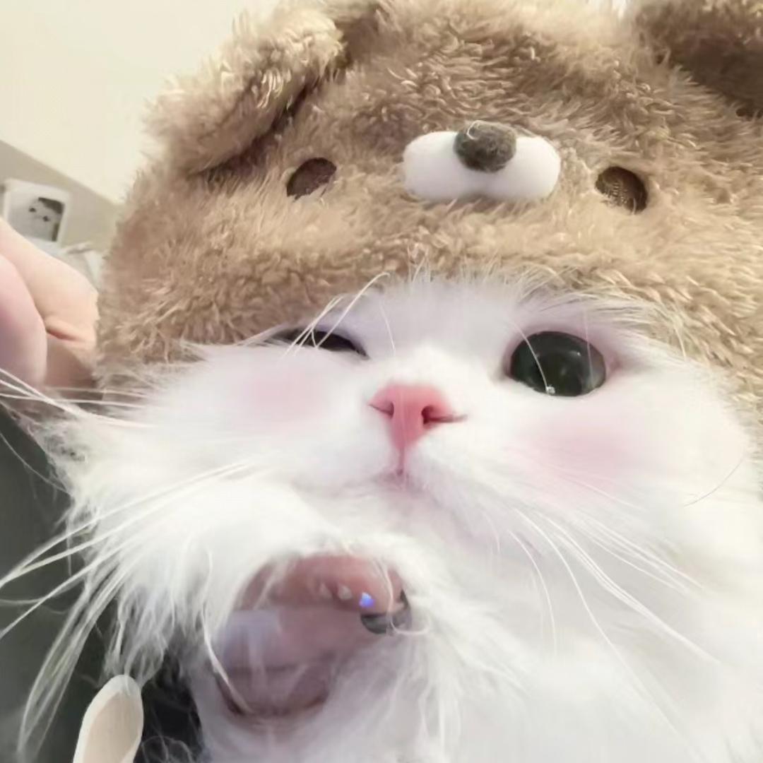 别惹我