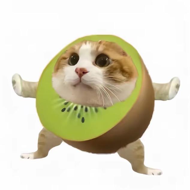 小鱼不打哈欠