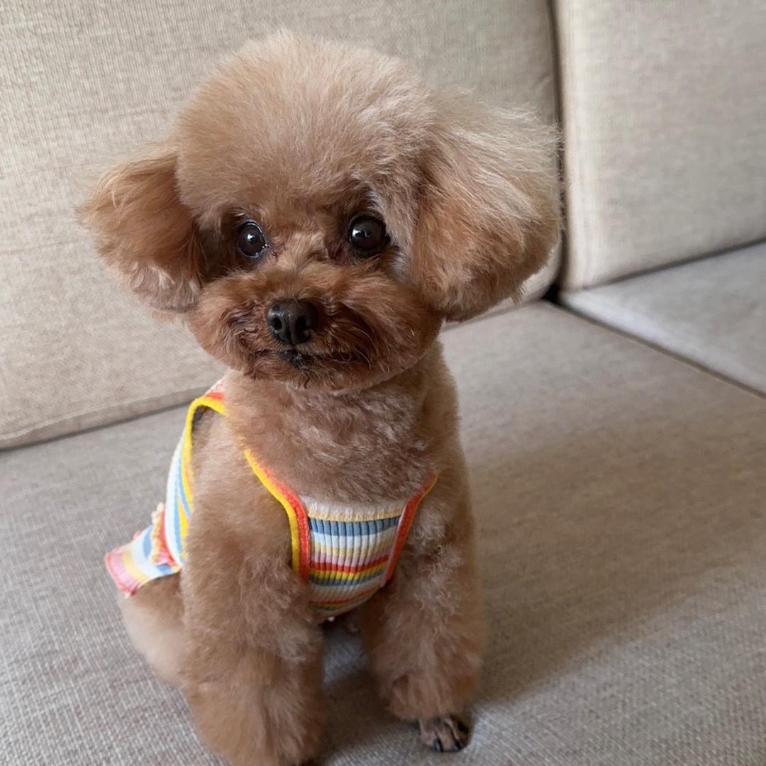 💫甄妮🌟🎙️的橱窗啥都有💫