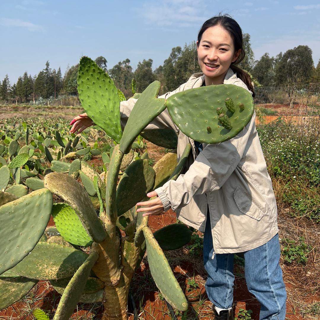 小尹隐于野🌵