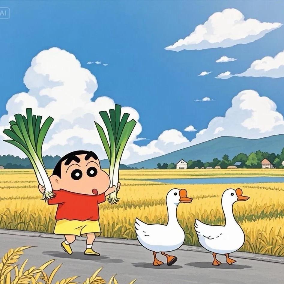 悠悠的羊毛日记