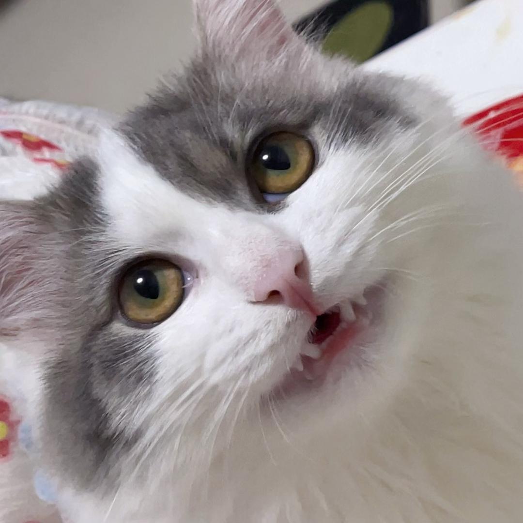 任性