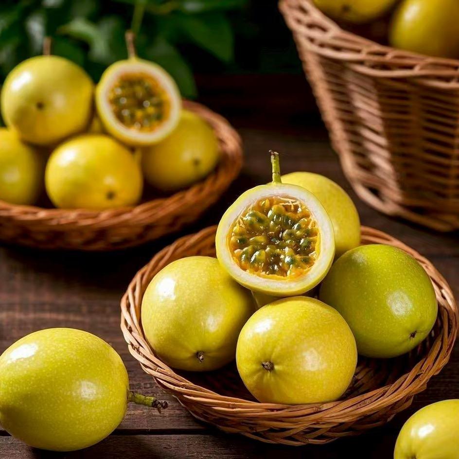 茫泰果园基地直发