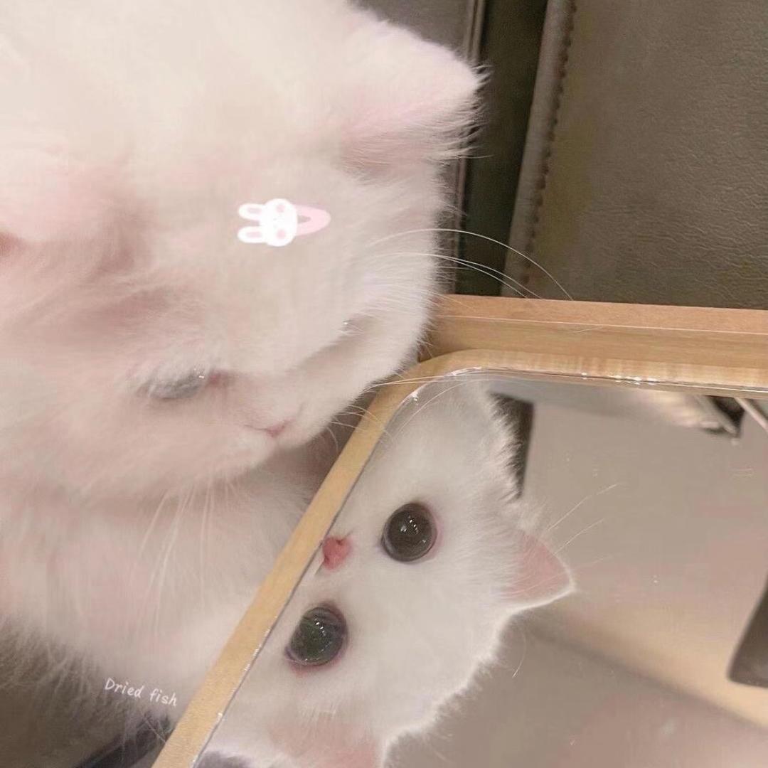 花果山上我最狂