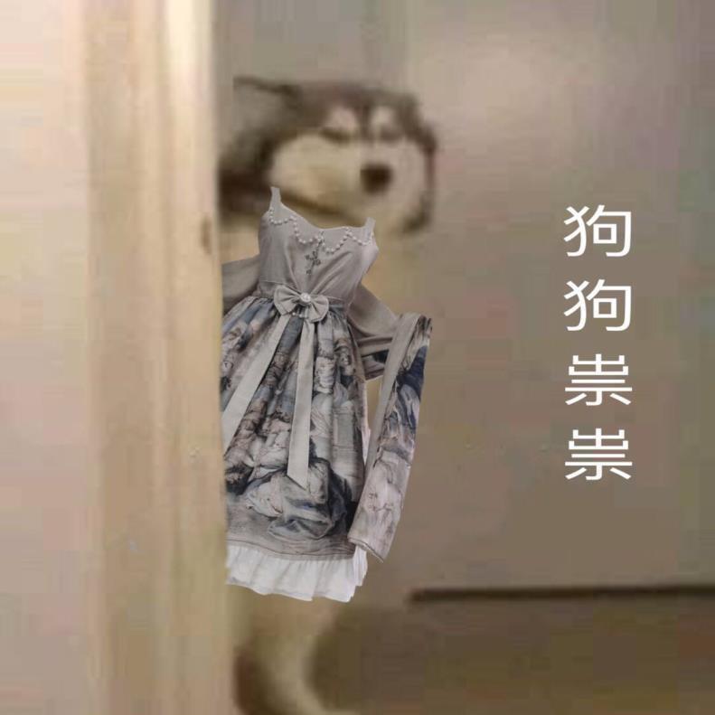 魔法裙子猫