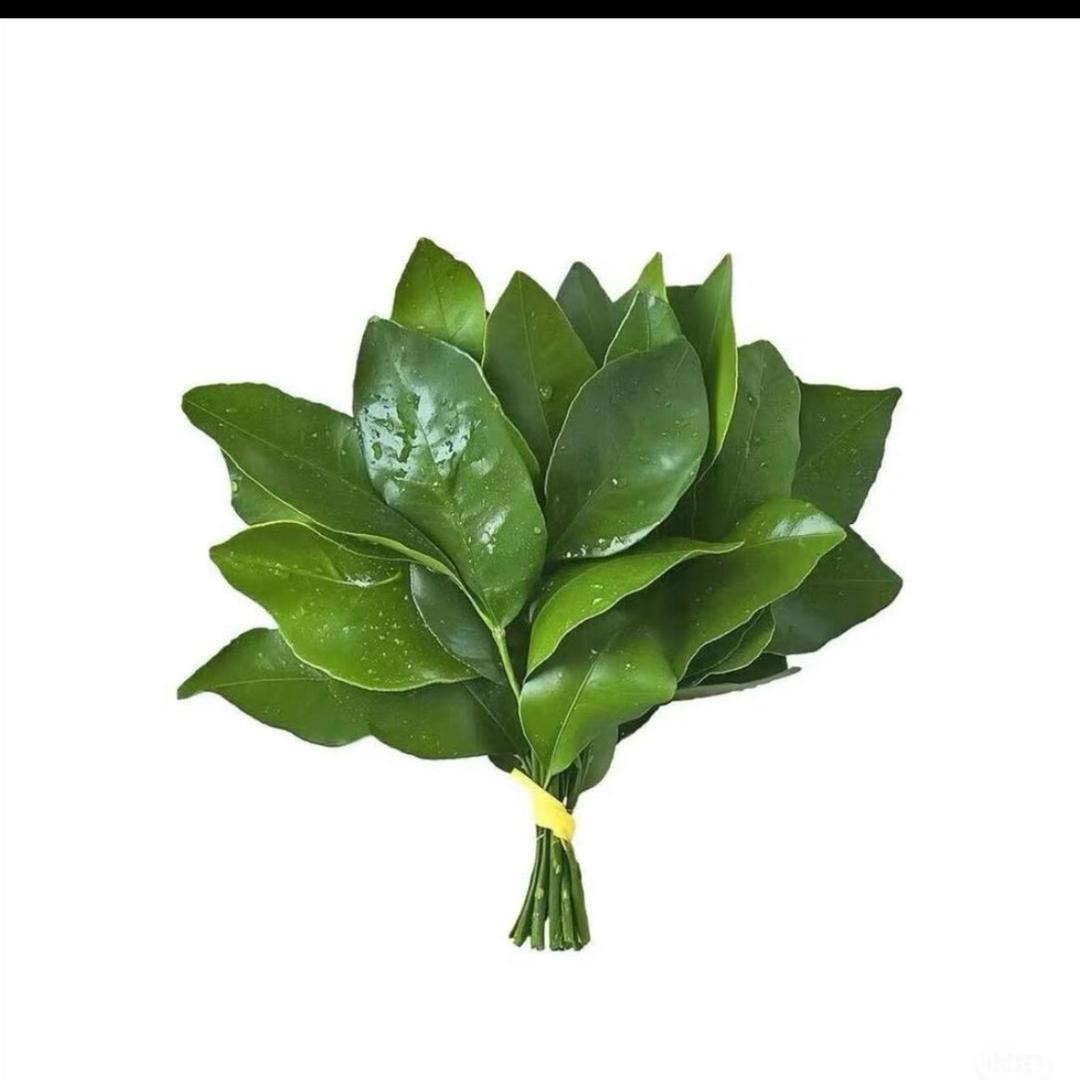 泰享悦紫竹桥店-21