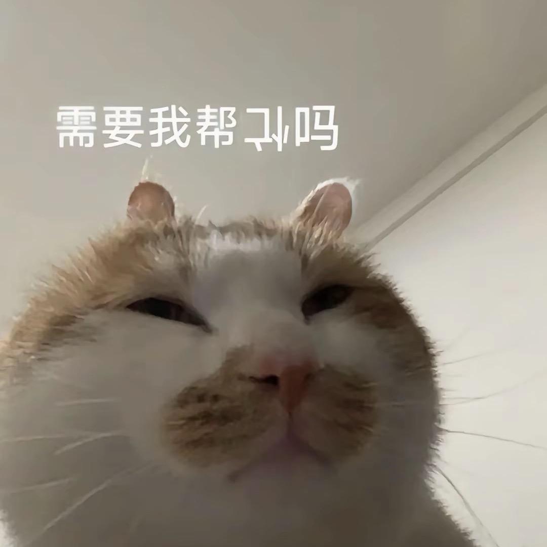 跨境牛马