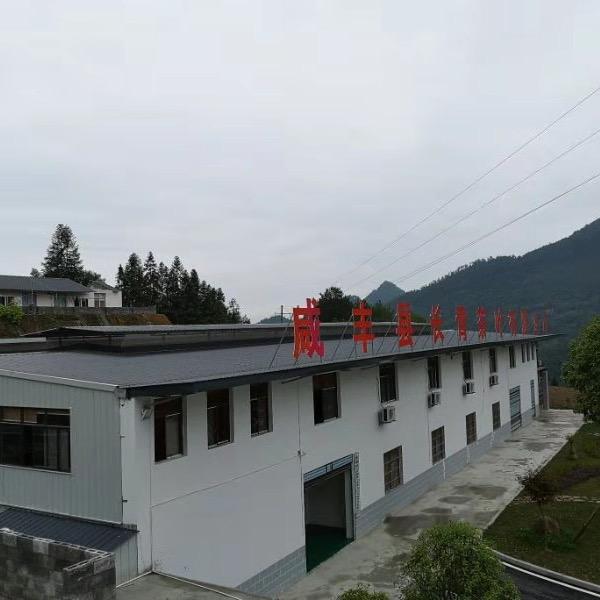 咸丰县长青茶叶有限公司