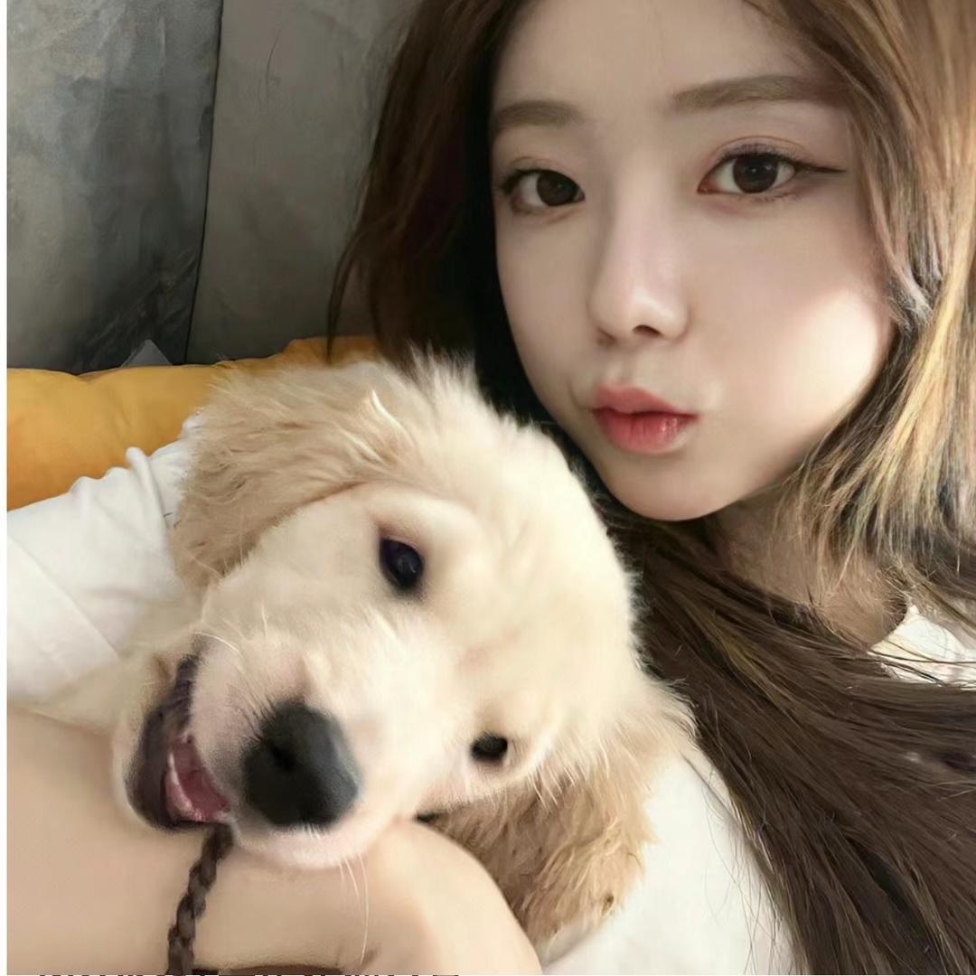 @Loey_m