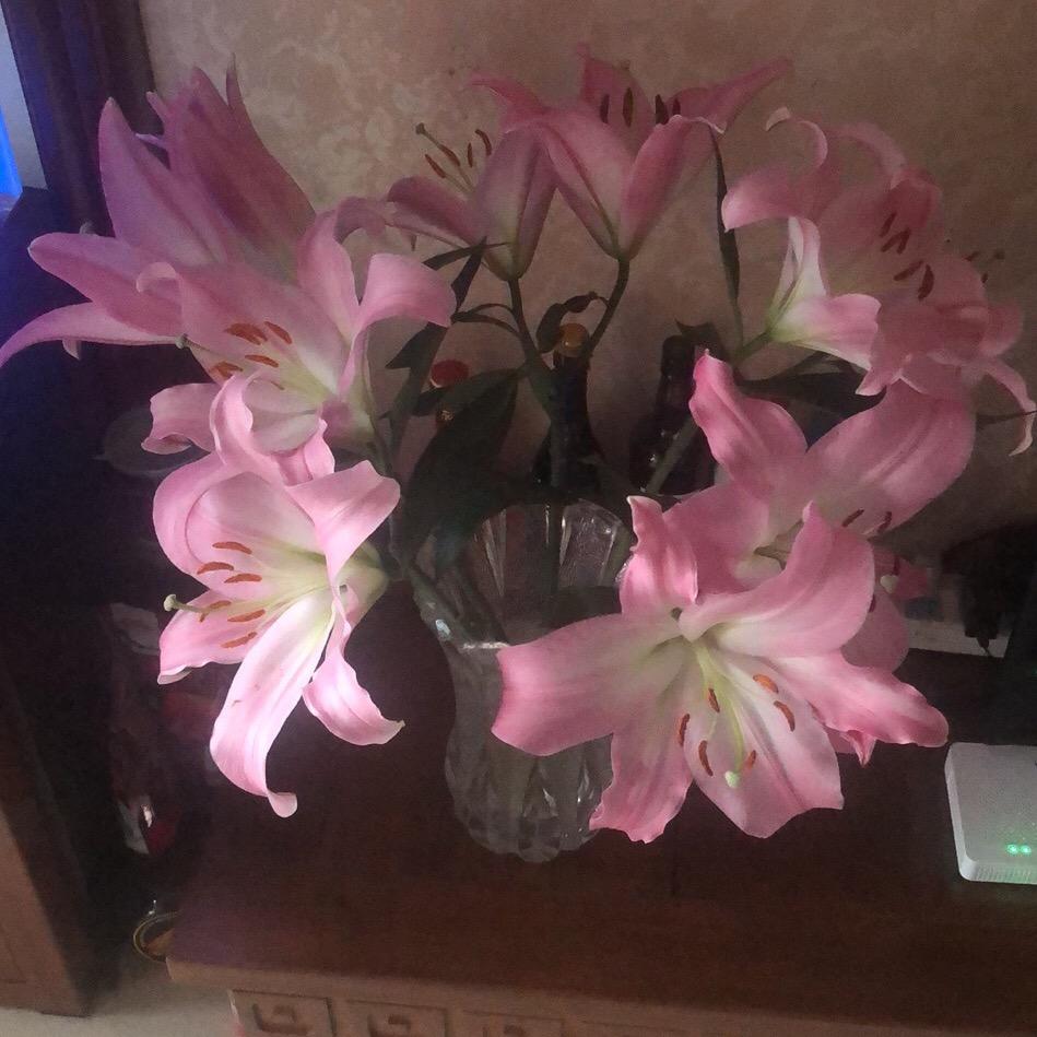 天天开心“¥”