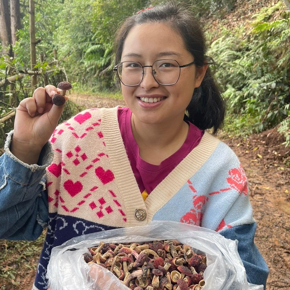 珊珊滋补优选