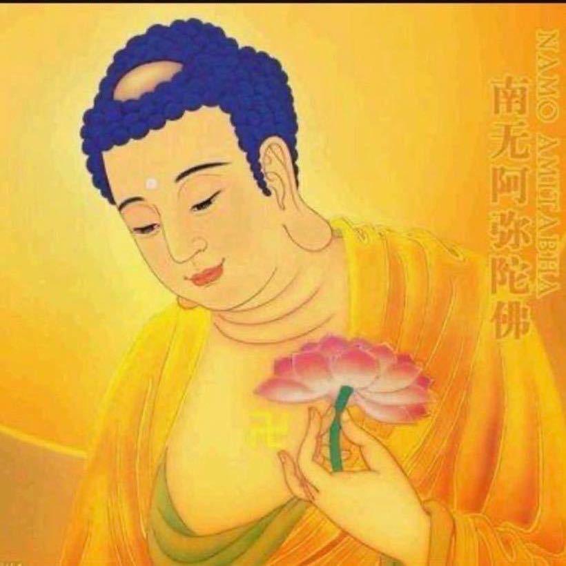 达摩