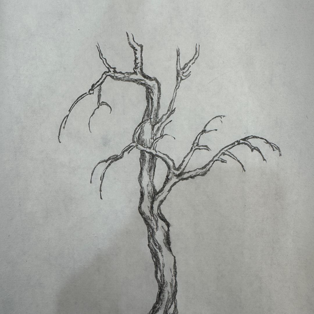 古风治愈系画师