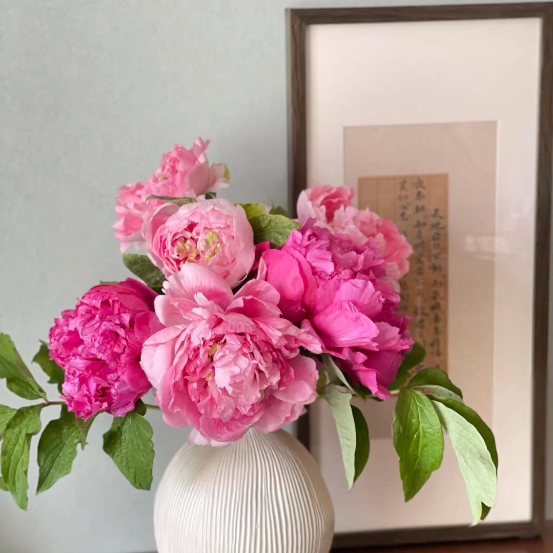 绿蕊花田