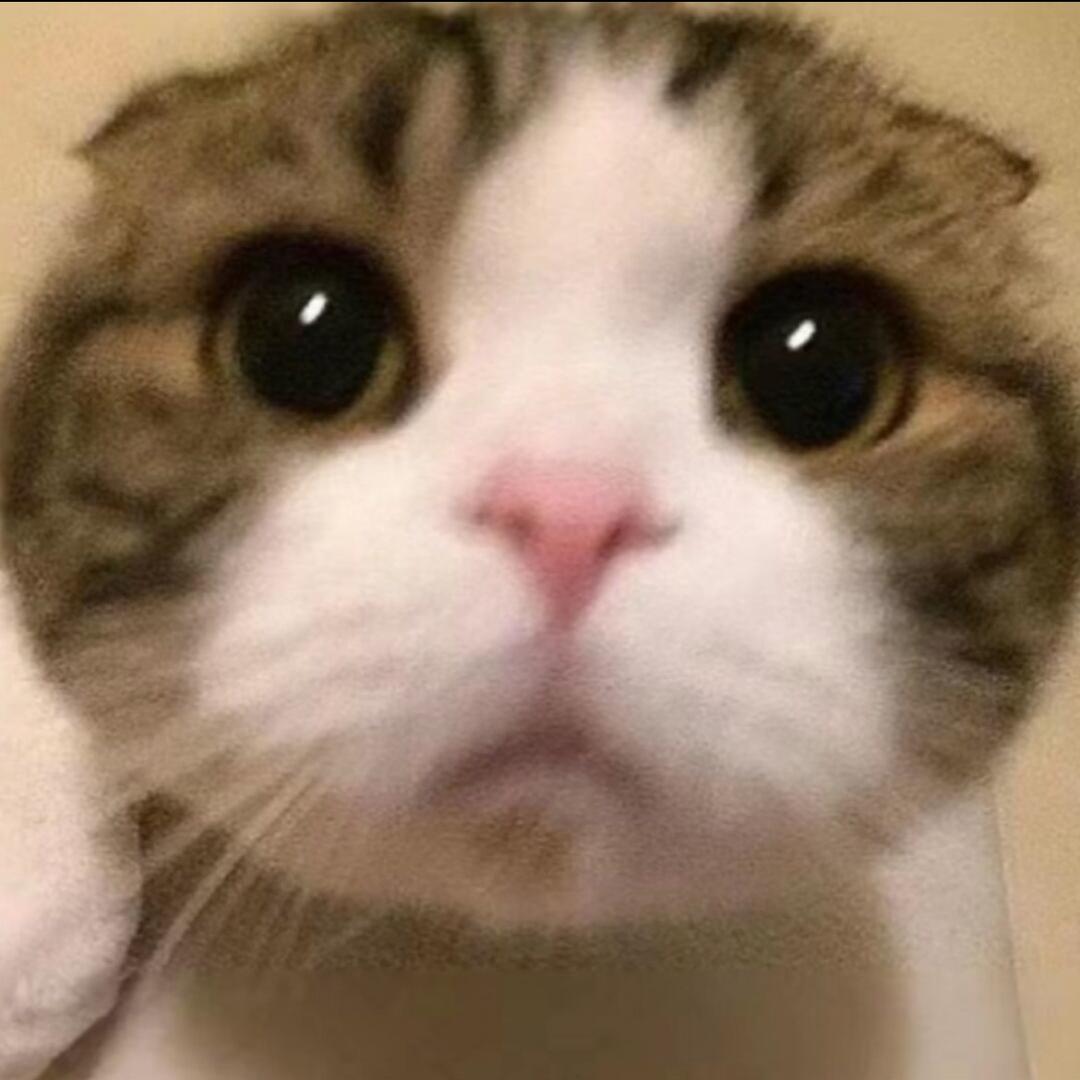 504