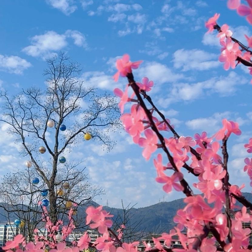 🌼微笑ꦿ໊安然💕