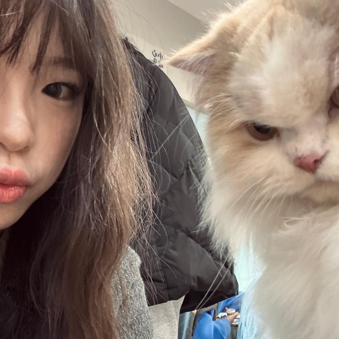 傷心小年糕