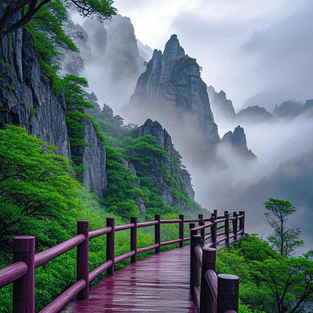 自由阿翔