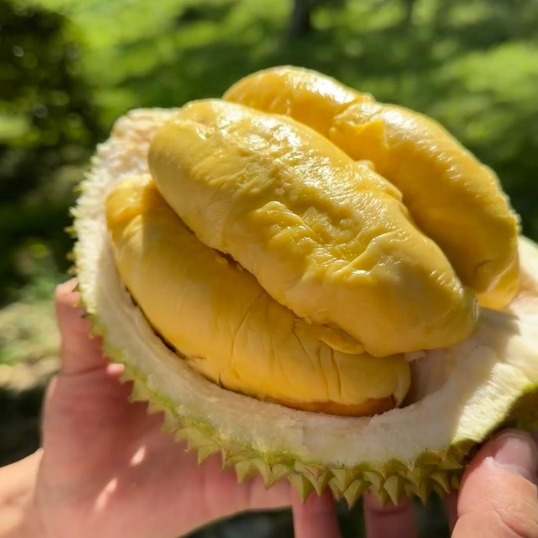 榴莲臻选坊