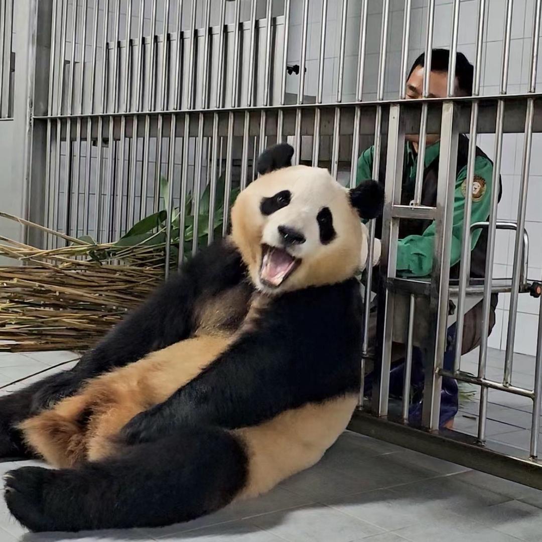 财阀家的噗噗公主