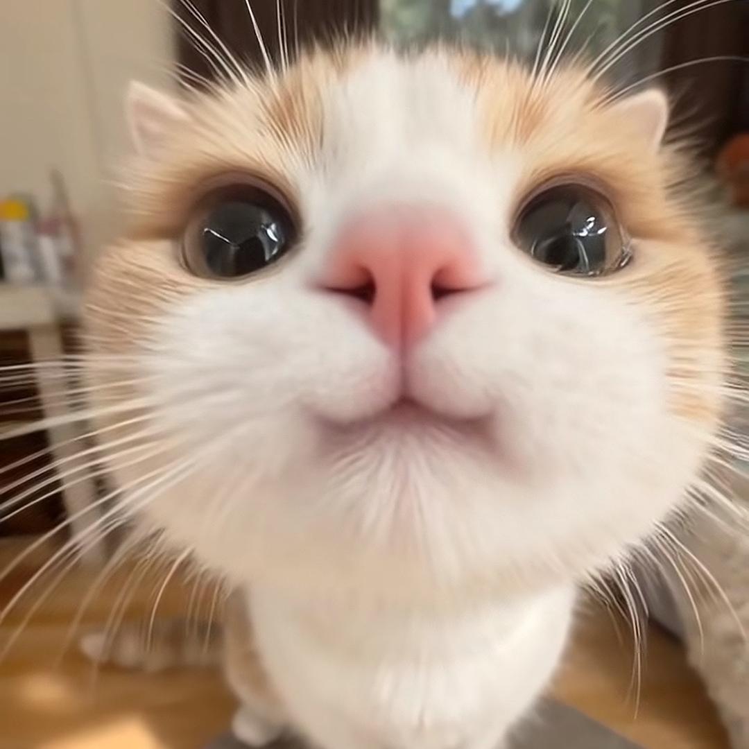 小妤