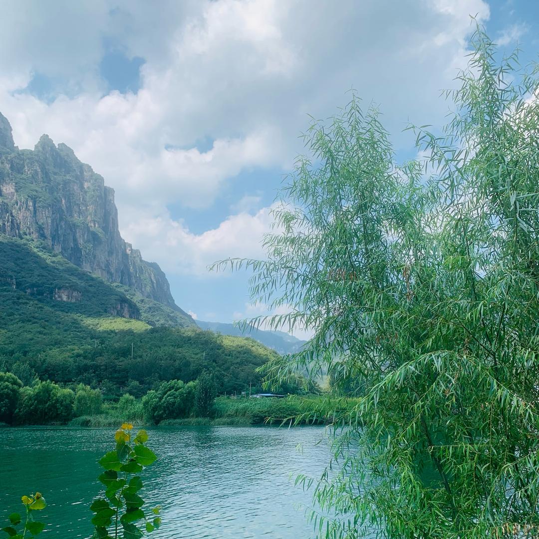 风过无痕风入怀