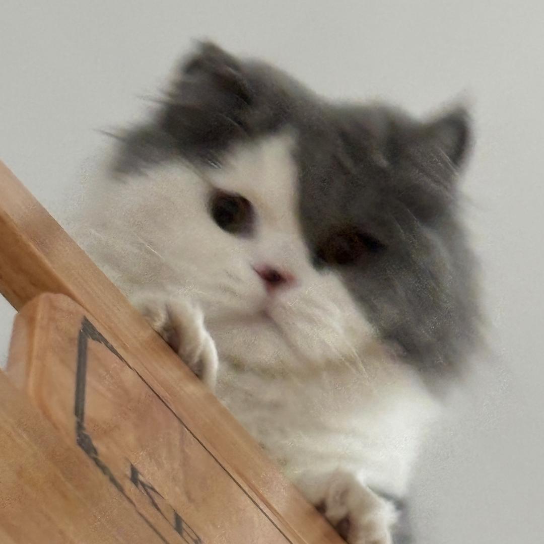 睡不醒