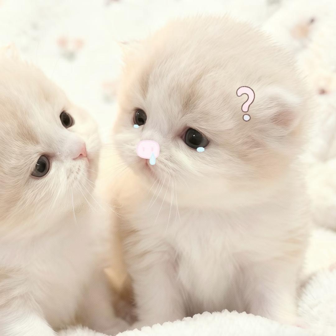 小零u