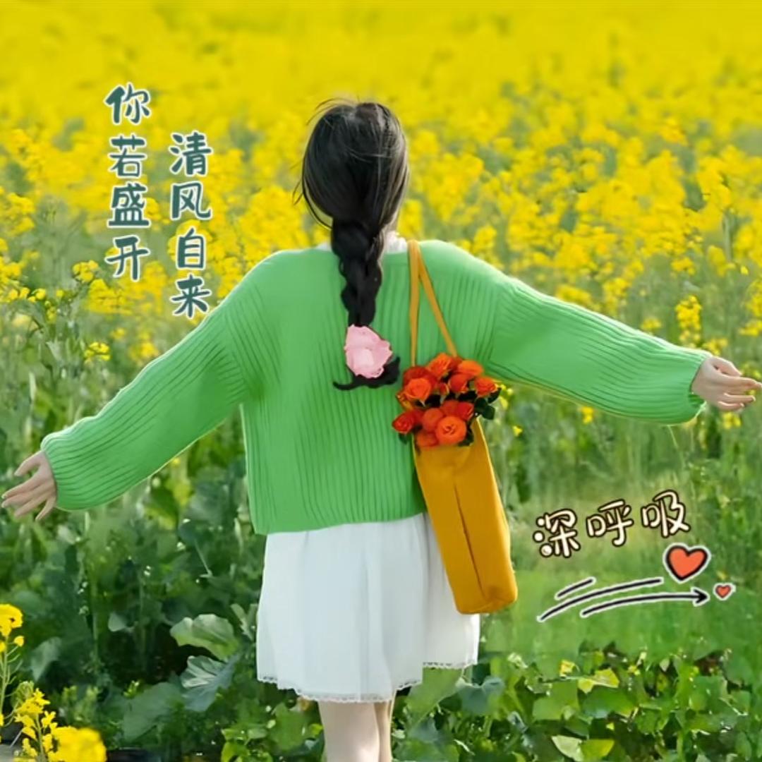 🌺小白菜🥬