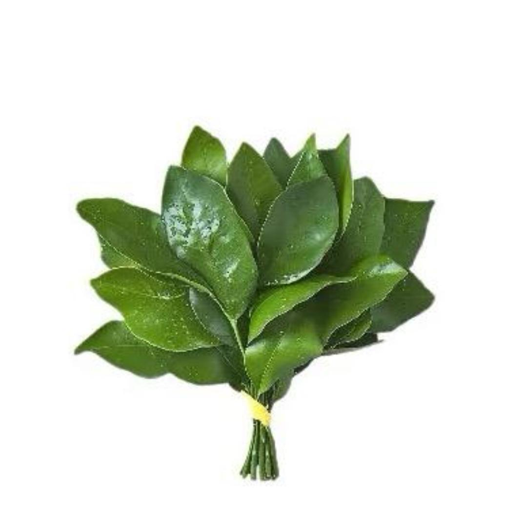 人傻嘴不甜长得安全还没钱