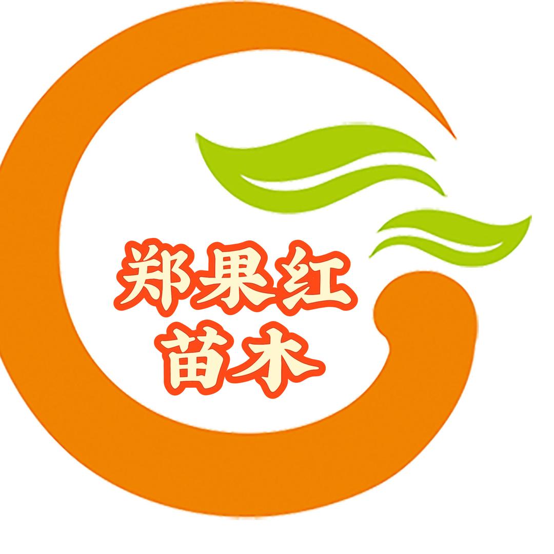 郑果红果树苗木专营店果树苗